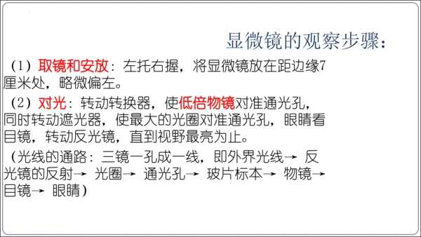 【2023秋人教七上生物期中复习考点梳理串讲+临考押题】第一章 细胞是生命活动的基本单位（串讲课件）