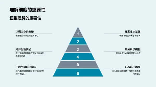 解码生命：细胞的秘密