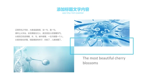 医疗细菌病毒微生物细胞组织动态ppt模板