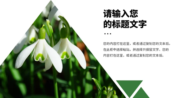 绿色的田野春天生态农业通用PPT模板