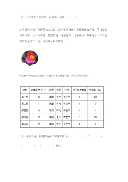 教科版四年级下册科学第一单元《植物的生长变化》测试卷【b卷】.docx