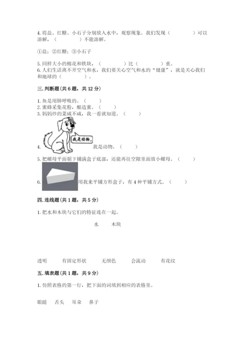 教科版一年级下册科学期末测试卷带答案（巩固）.docx