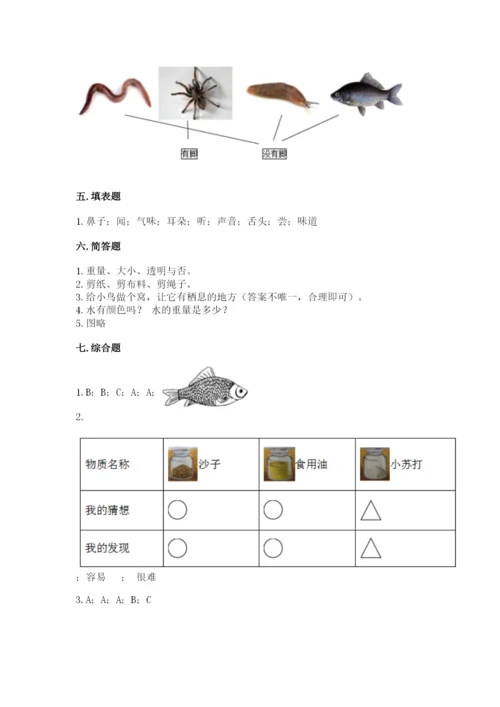 教科版一年级下册科学期末测试卷含答案（培优b卷）.docx