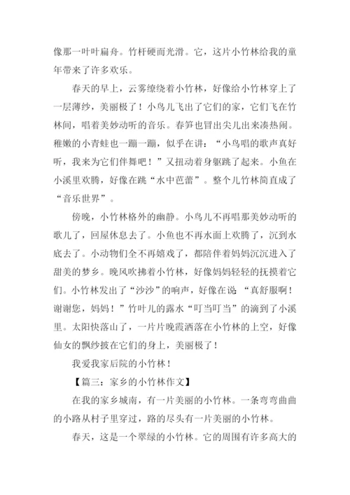 小竹林作文0.docx