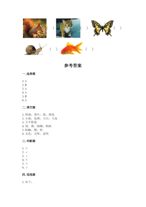 教科版一年级下册科学期末测试卷（全优）.docx