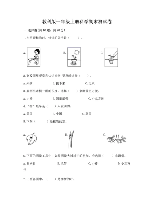 教科版一年级上册科学期末测试卷精品（典型题）.docx