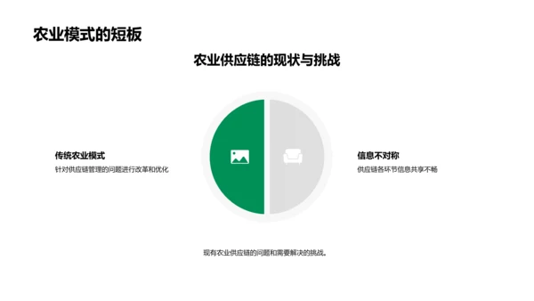 农业链创新融资报告