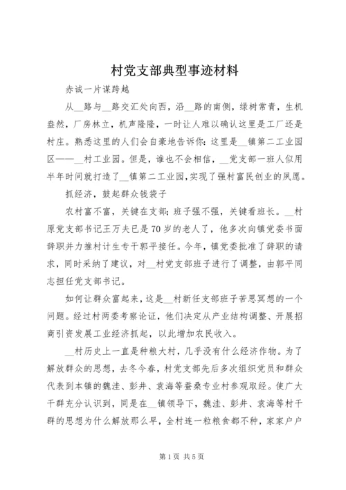 村党支部典型事迹材料.docx