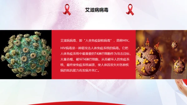AIDS禁毒防艾滋病关爱生命主题班会通用PPT模板