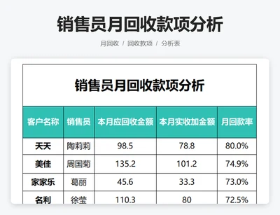 销售员月回收款项分析