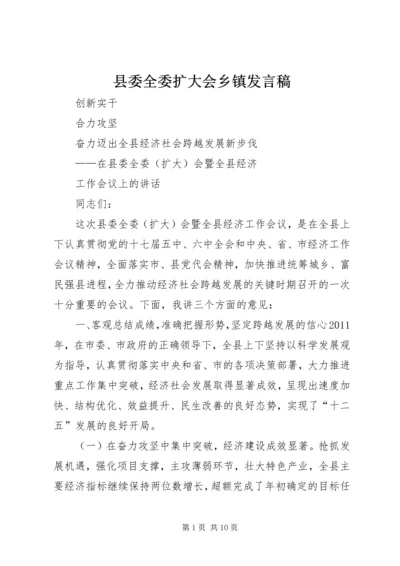 县委全委扩大会乡镇发言稿 (4).docx