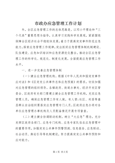 市政办应急管理工作计划.docx