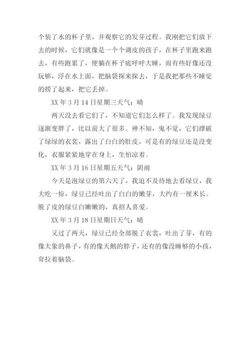 小学三年级观察日记.docx