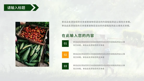 青年在家乡建设中的使命工作汇报PPT模板