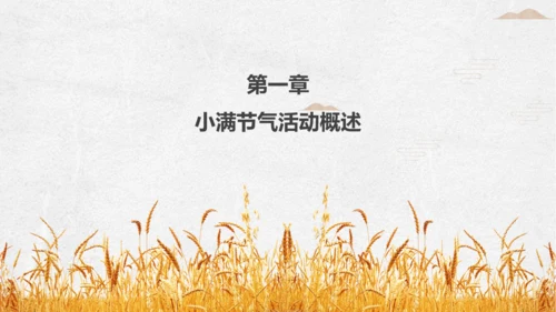 金色麦穗小满通用PPT模板
