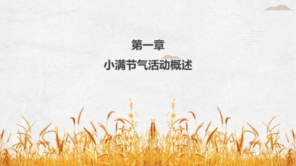 金色麦穗小满通用PPT模板