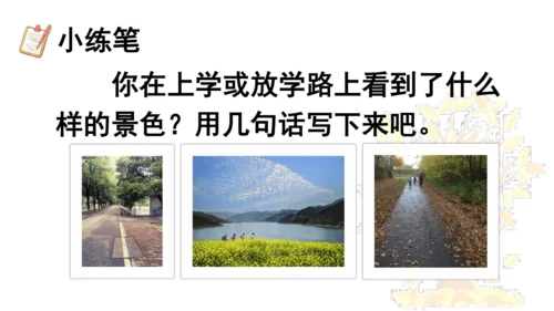 5 铺满金色巴掌的水泥道