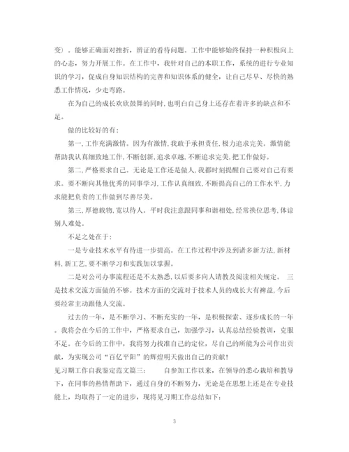 精编之见习期工作自我鉴定范文3篇.docx