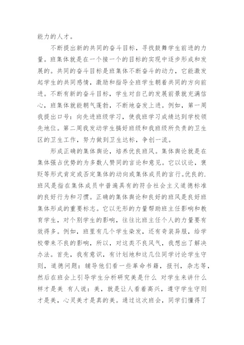 教师实习班主任工作总结.docx