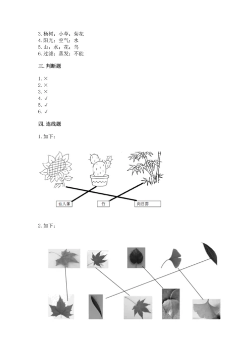 教科版科学一年级上册第一单元《植物》测试卷含完整答案【夺冠系列】.docx