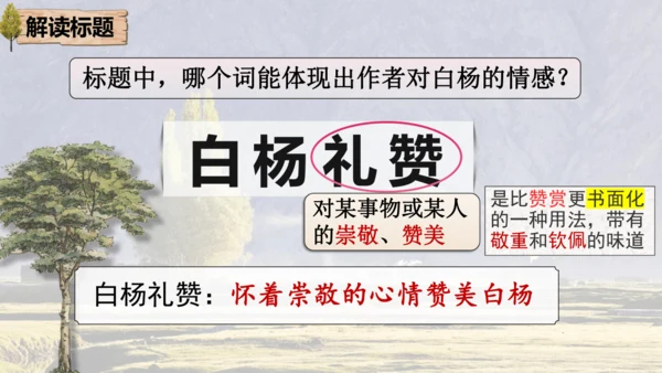 15 白杨礼赞 课件