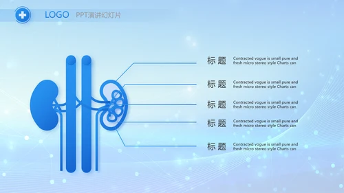 蓝色智慧医疗信息化建设工作总结PPT