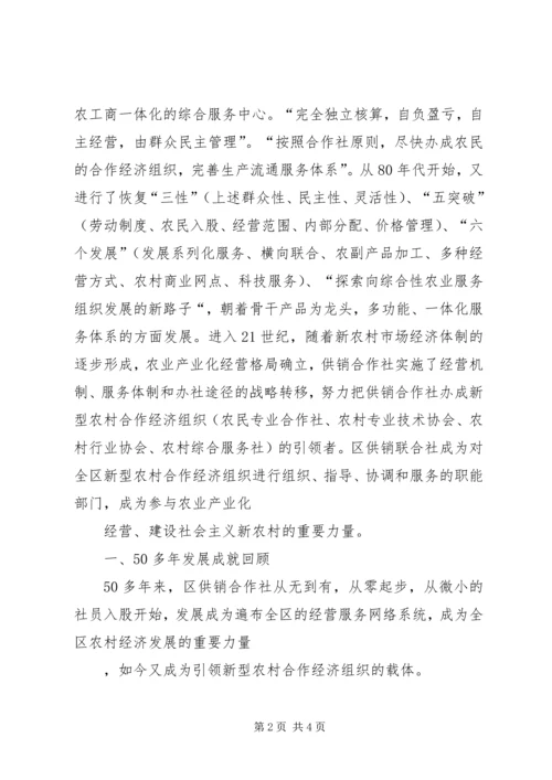 供联社国庆某年征文：某年发展成就和成功经验.docx
