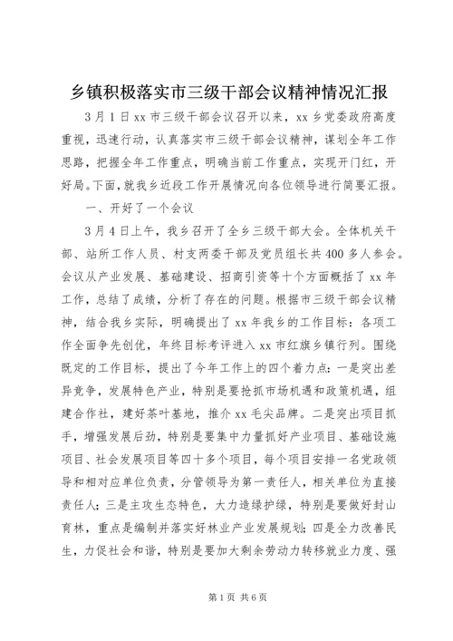 乡镇积极落实市三级干部会议精神情况汇报.docx