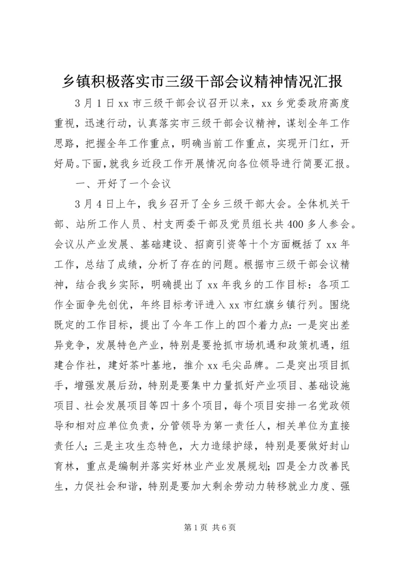 乡镇积极落实市三级干部会议精神情况汇报.docx