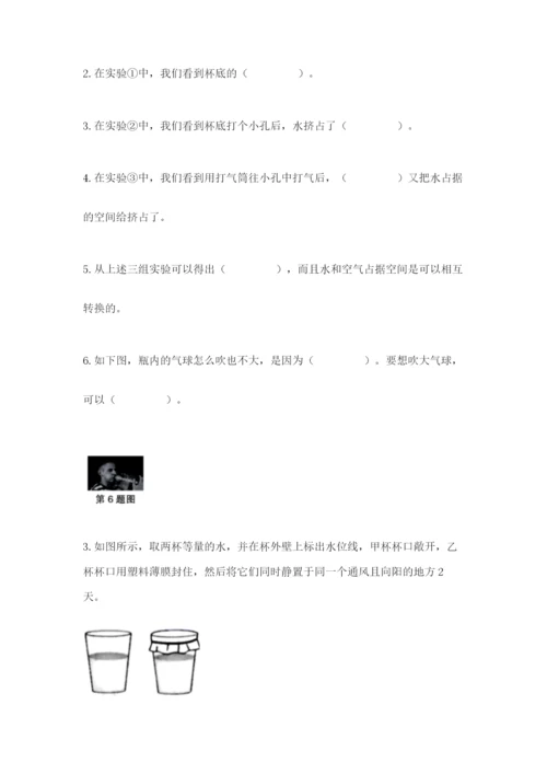 教科版三年级上册科学期末测试卷精品【典优】.docx