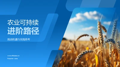 农业可持续进阶路径