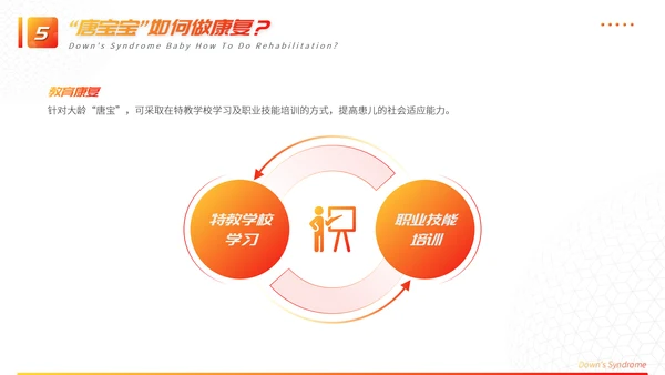 关注唐宝与爱同行PPT模板