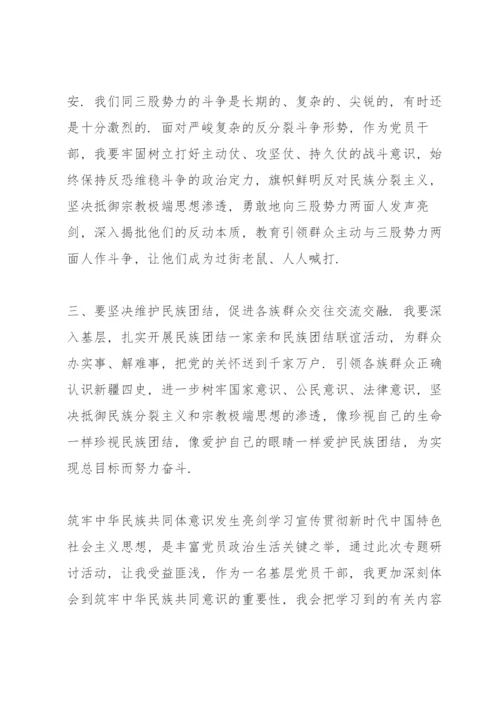 筑牢中华民族共同体意识发生亮剑.docx
