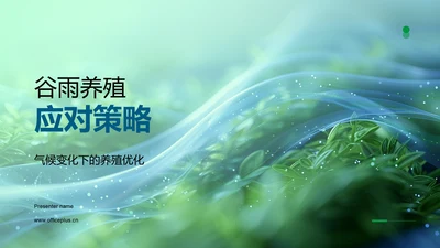 谷雨养殖应对策略