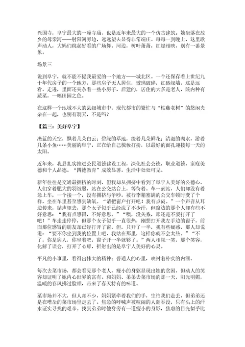 大力弘扬新时期阜宁精神征文