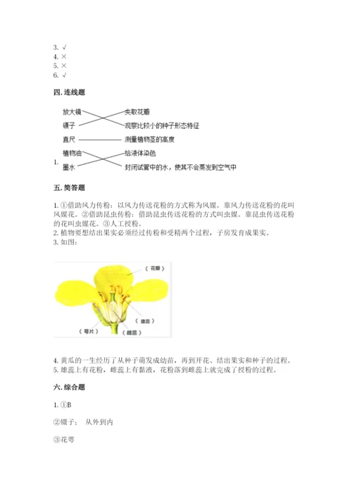 科学四年级下册第一单元植物的生长变化测试卷含完整答案（各地真题）.docx