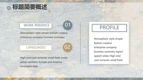 简约室内设计方案汇报工作总结PPT