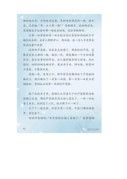 21《芦花鞋》 教案