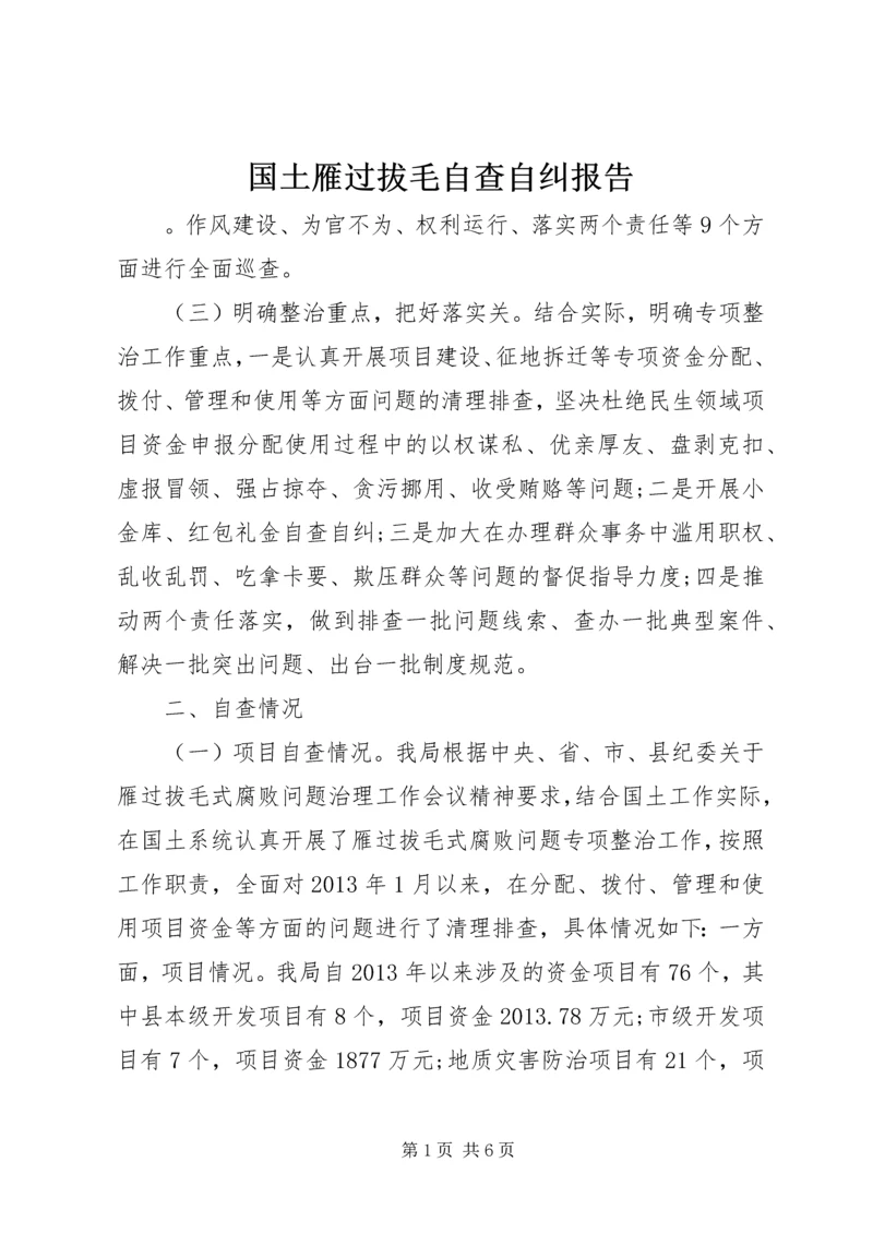 国土雁过拔毛自查自纠报告.docx