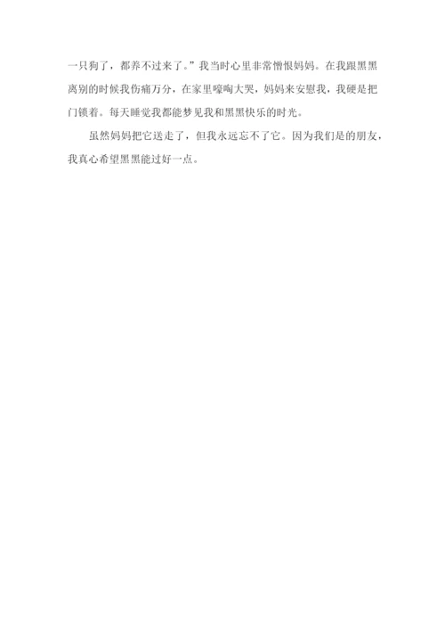 二年级写小动物的作文300字.docx