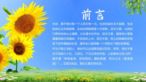 生命教育认识生命珍爱生命教育主题班会PPT课件