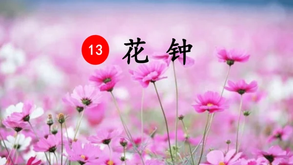 13《花钟》（课件）