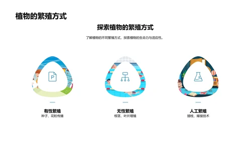 植物多样性教学PPT模板