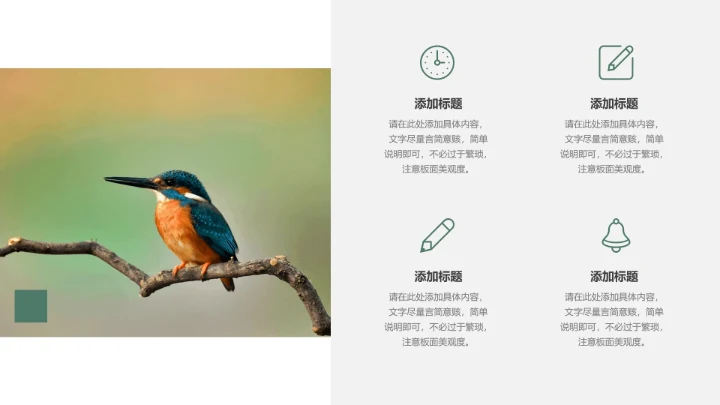 人与自然大熊猫活动宣传通用PPT模板