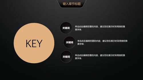 黑金轻奢商业计划书通用PPT模版
