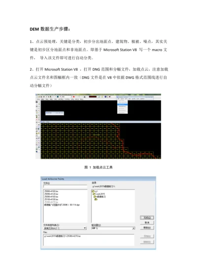 DEM数据生产作业流程.docx