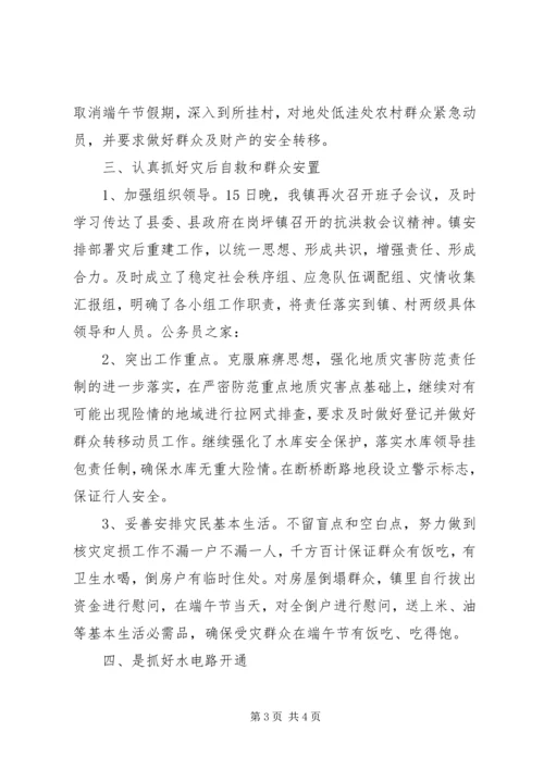 乡镇抗洪救灾工作情况汇报.docx