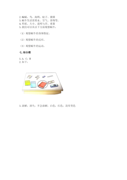 教科版一年级下册科学期末测试卷精品（名校卷）.docx