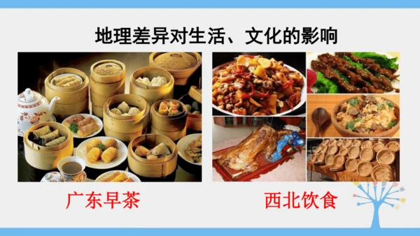 5.0 中国的地理差异（课件30张）-2024-2025学年人教版地理八年级下册