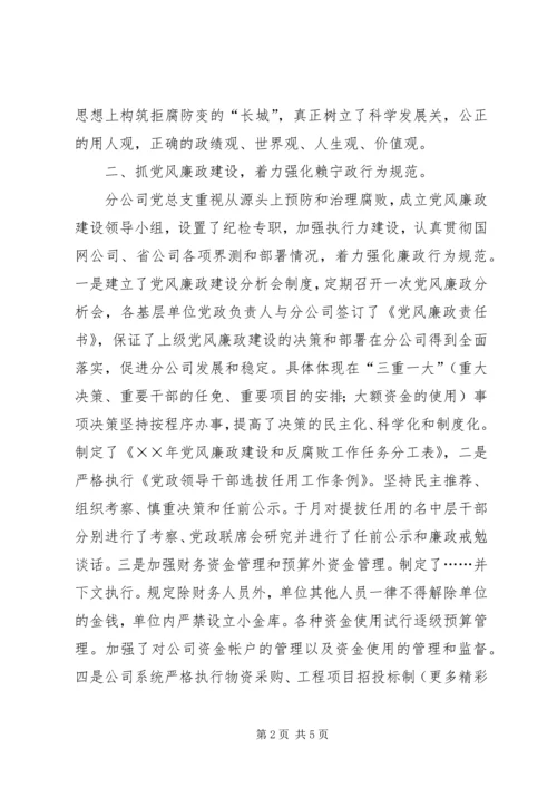 电力分公司党风廉政建设自查报告 (2).docx